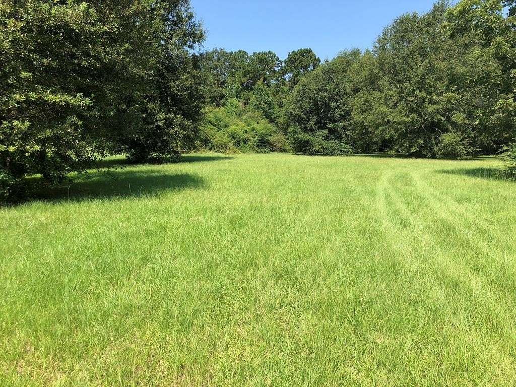 51.5 Acres of Land for Sale in Carriere, Mississippi