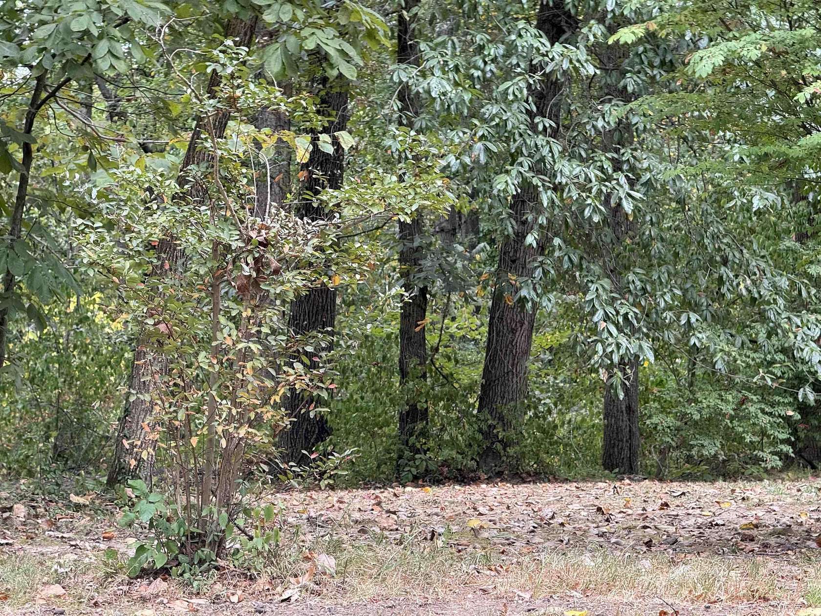 16 Acres of Land for Sale in Evansville, Indiana