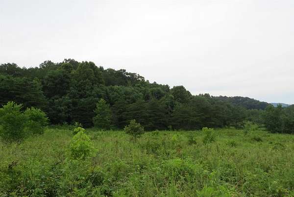 57.2 Acres of Land for Sale in Blackmont, Kentucky