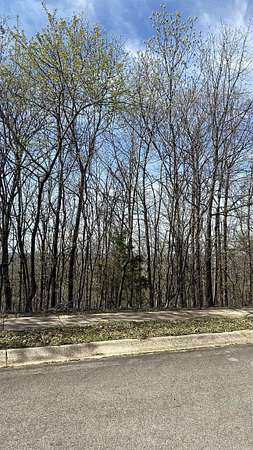 0.4 Acres of Residential Land for Sale in Alexander, Arkansas