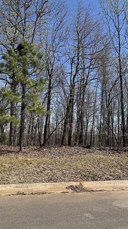 0.4 Acres of Residential Land for Sale in Alexander, Arkansas