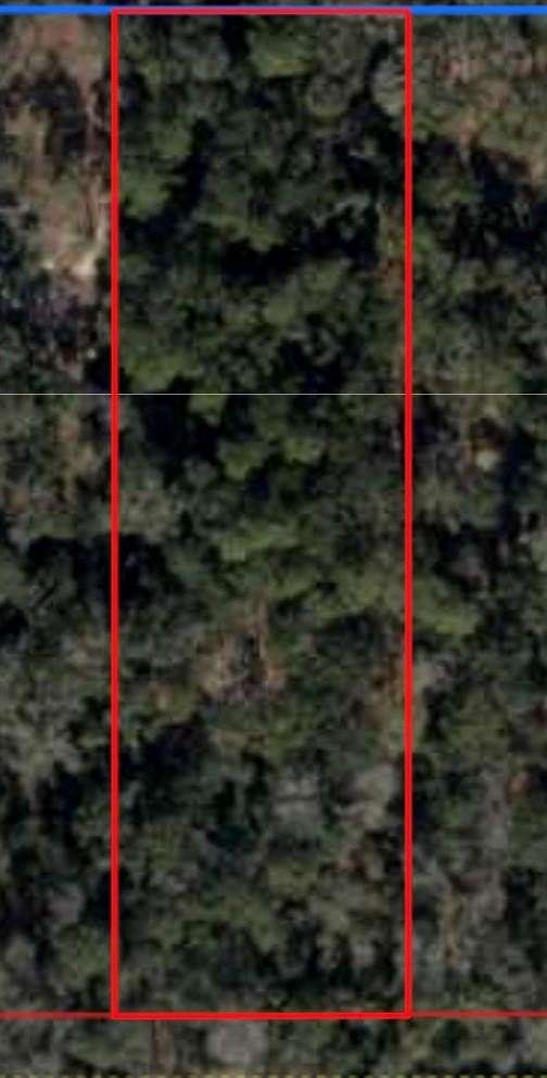 3.29 Acres of Land for Sale in Fanning Springs, Florida