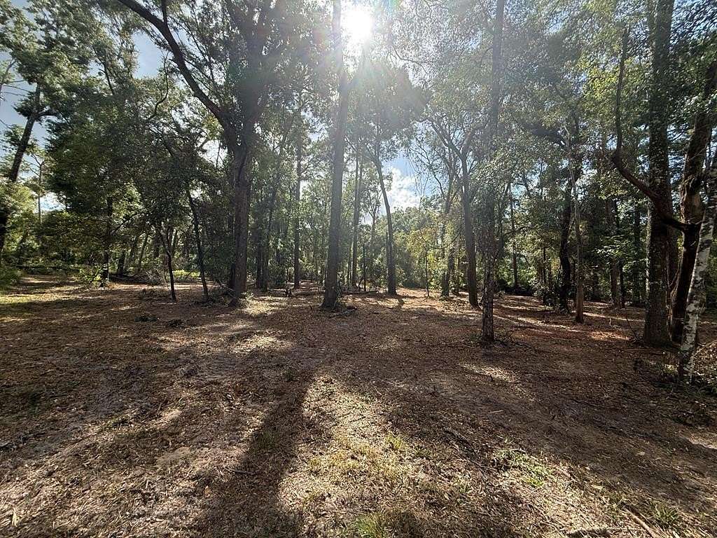 3.29 Acres of Land for Sale in Fanning Springs, Florida