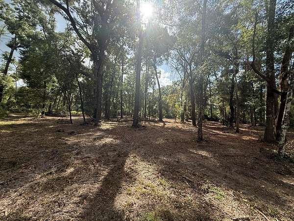 3.29 Acres of Land for Sale in Fanning Springs, Florida