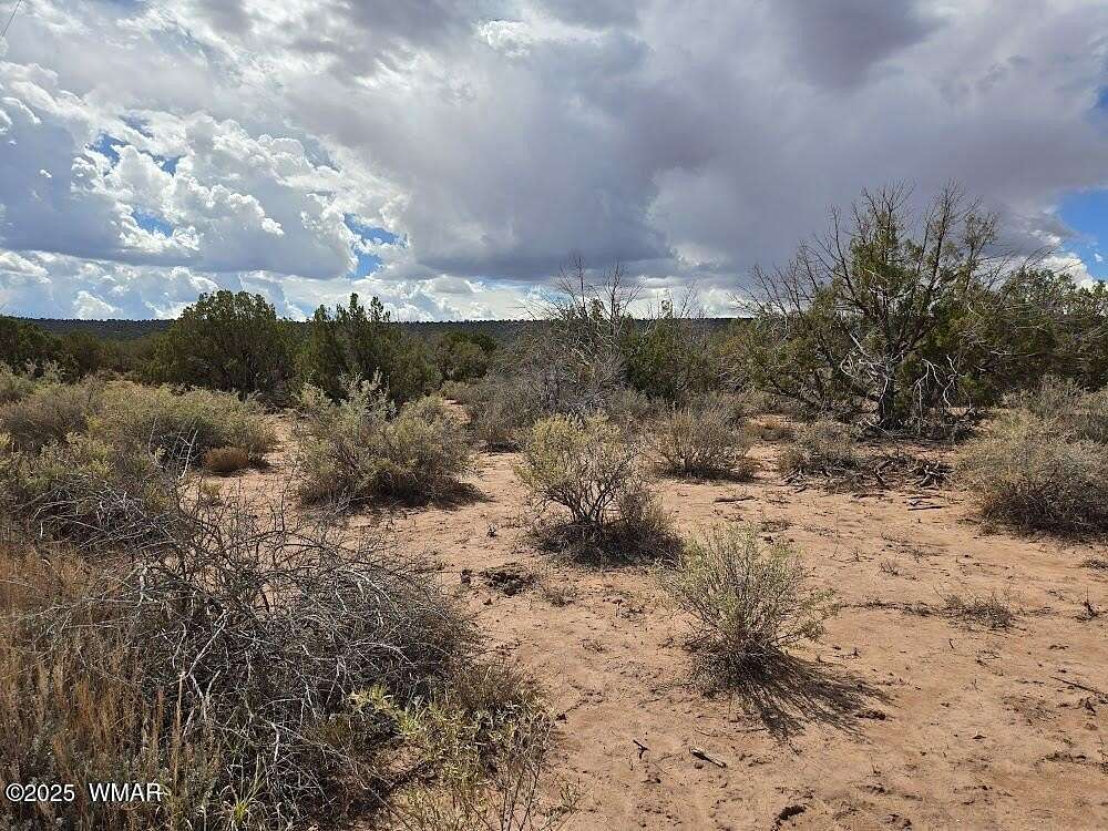 1.17 Acres of Residential Land for Sale in Snowflake, Arizona