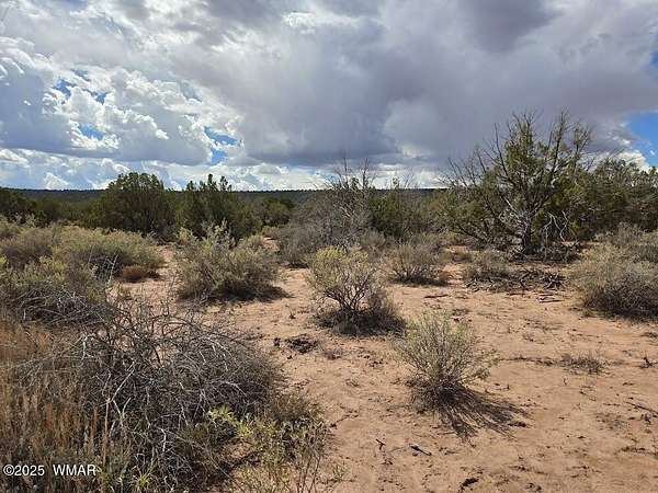 1.17 Acres of Residential Land for Sale in Snowflake, Arizona