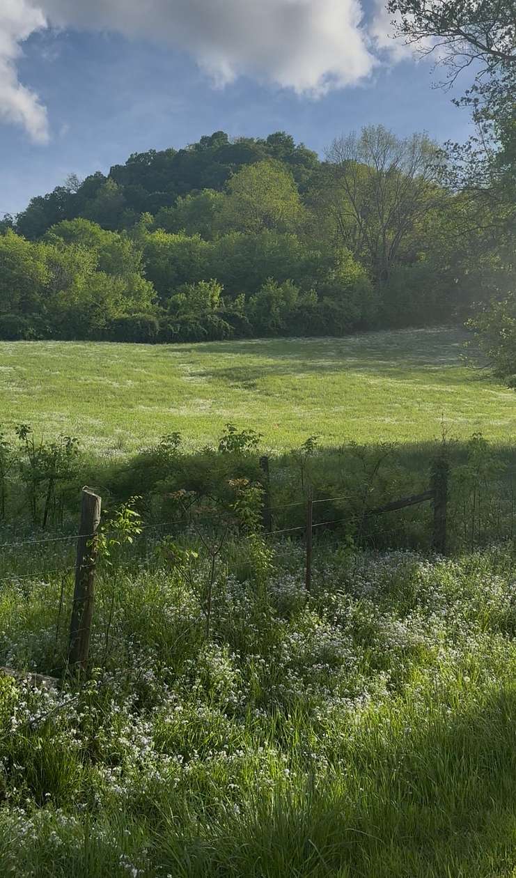 1 Acre of Residential Land for Sale in Carthage, Tennessee