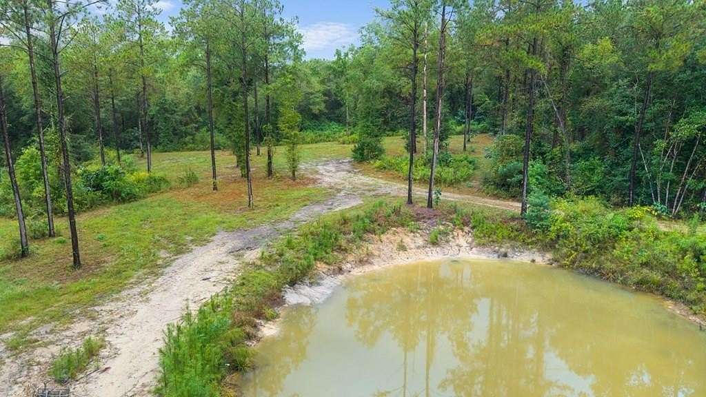 30.7 Acres of Land for Sale in Poplarville, Mississippi