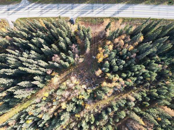 2.1 Acres of Residential Land for Sale in Salcha, Alaska
