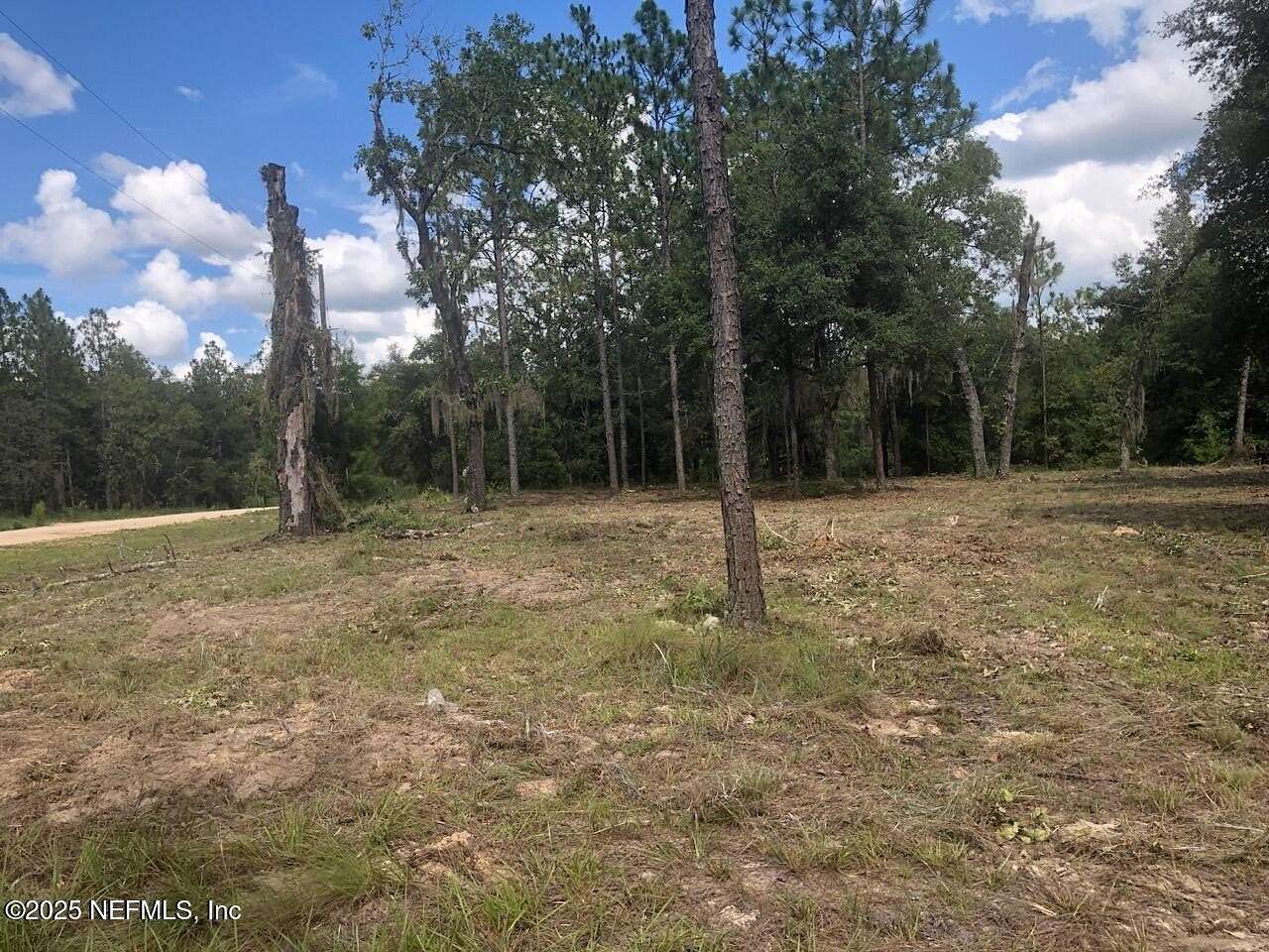 1 Acre of Land for Sale in Hawthorne, Florida