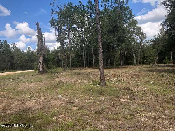 1 Acre of Land for Sale in Hawthorne, Florida