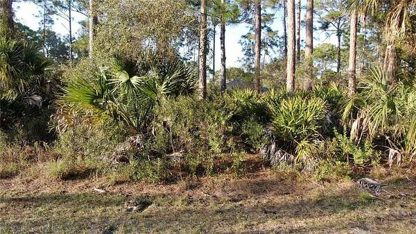0.23 Acres of Residential Land for Sale in North Port, Florida