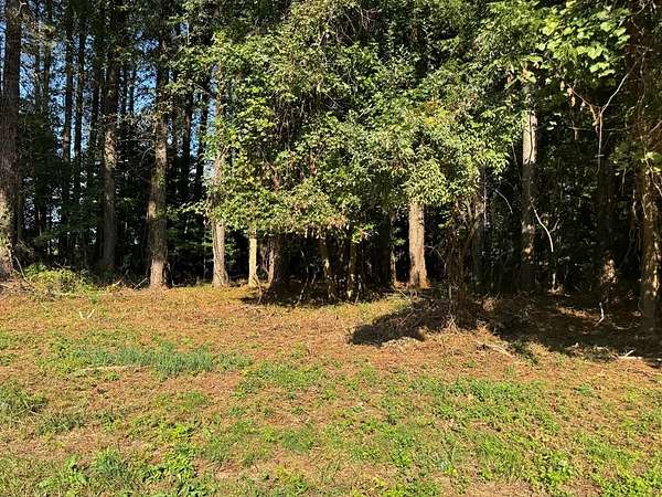 1 Acre of Land for Sale in Onley, Virginia