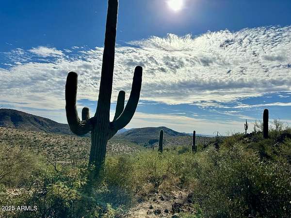 5 Acres of Residential Land for Sale in Morristown, Arizona