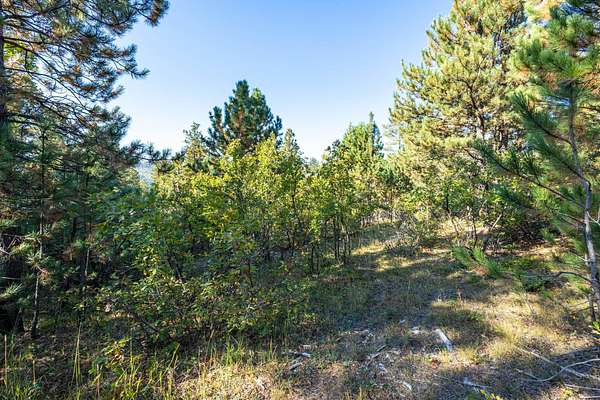 4 Acres of Residential Land for Sale in Lead, South Dakota