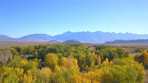 12 Acres of Recreational Land for Sale in Mackay, Idaho