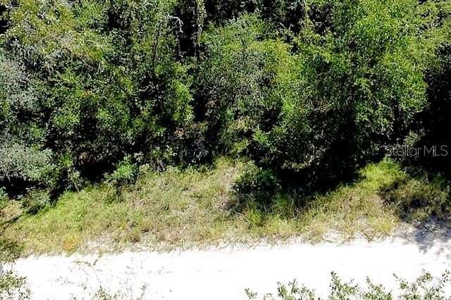 0.31 Acres of Residential Land for Sale in Williston, Florida