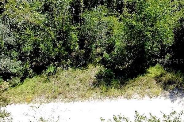 0.31 Acres of Residential Land for Sale in Williston, Florida