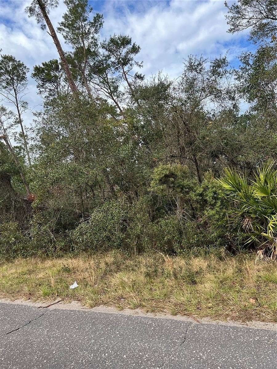 18.1 Acres of Land for Sale in Paisley, Florida