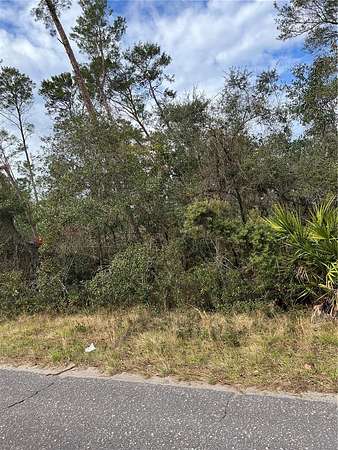 18.1 Acres of Land for Sale in Paisley, Florida