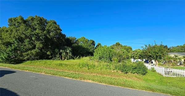 0.59 Acres of Residential Land for Sale in Kissimmee, Florida
