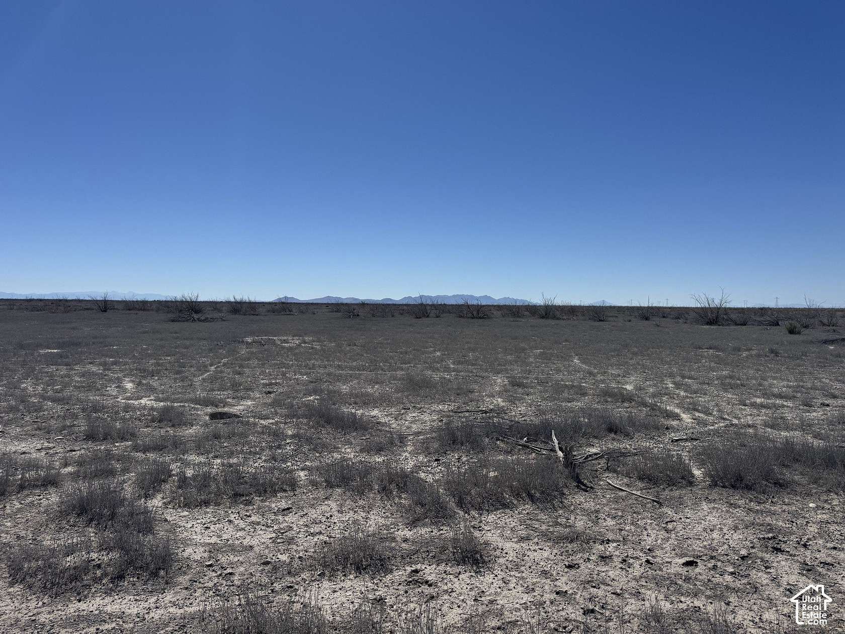 20 Acres of Land for Sale in Delta, Utah
