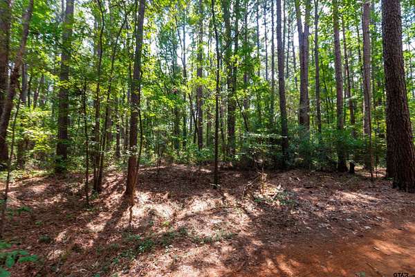 4 Acres of Residential Land for Sale in Tyler, Texas