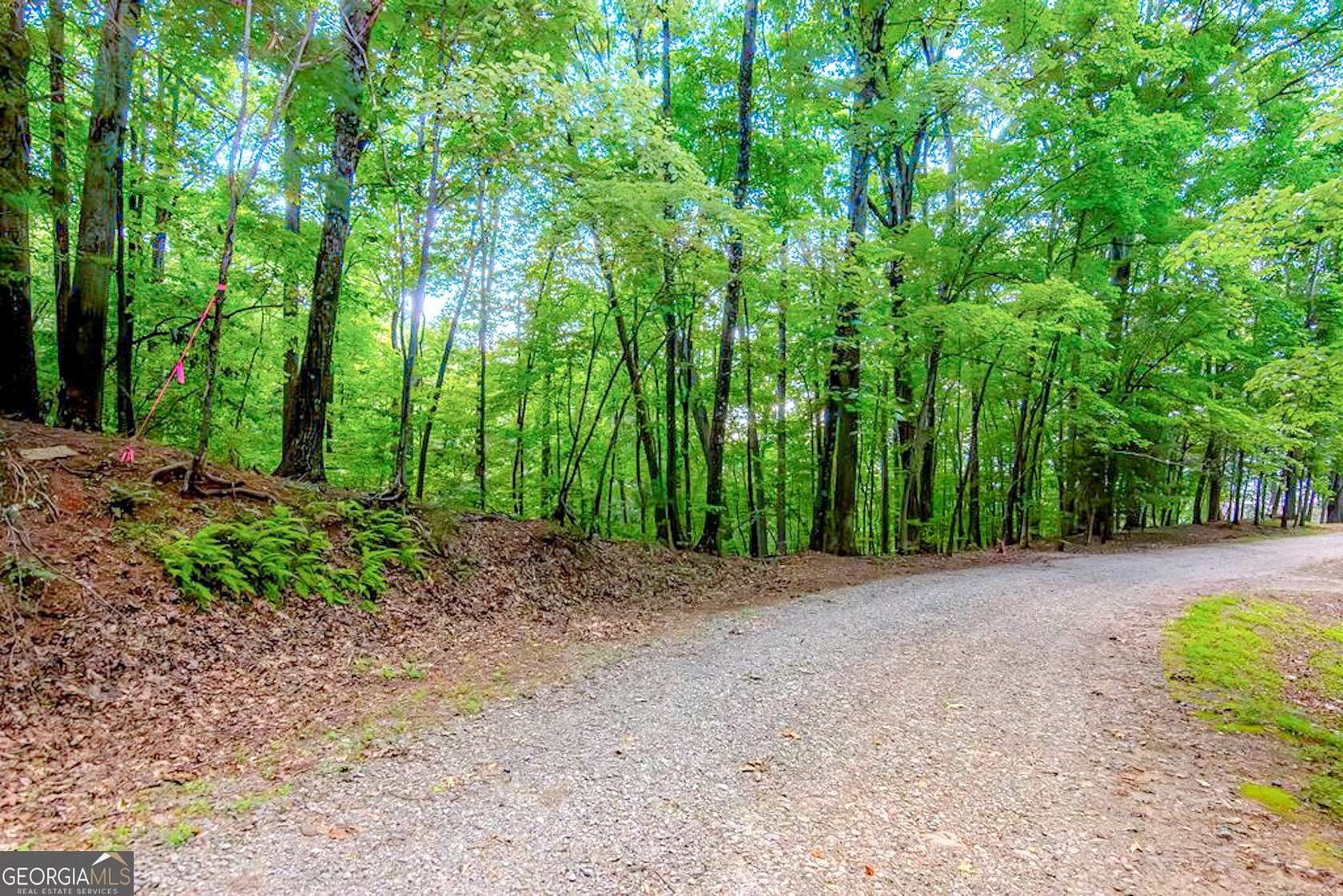0.48 Acres of Residential Land for Sale in Ellijay, Georgia