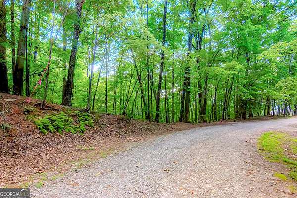 0.48 Acres of Residential Land for Sale in Ellijay, Georgia