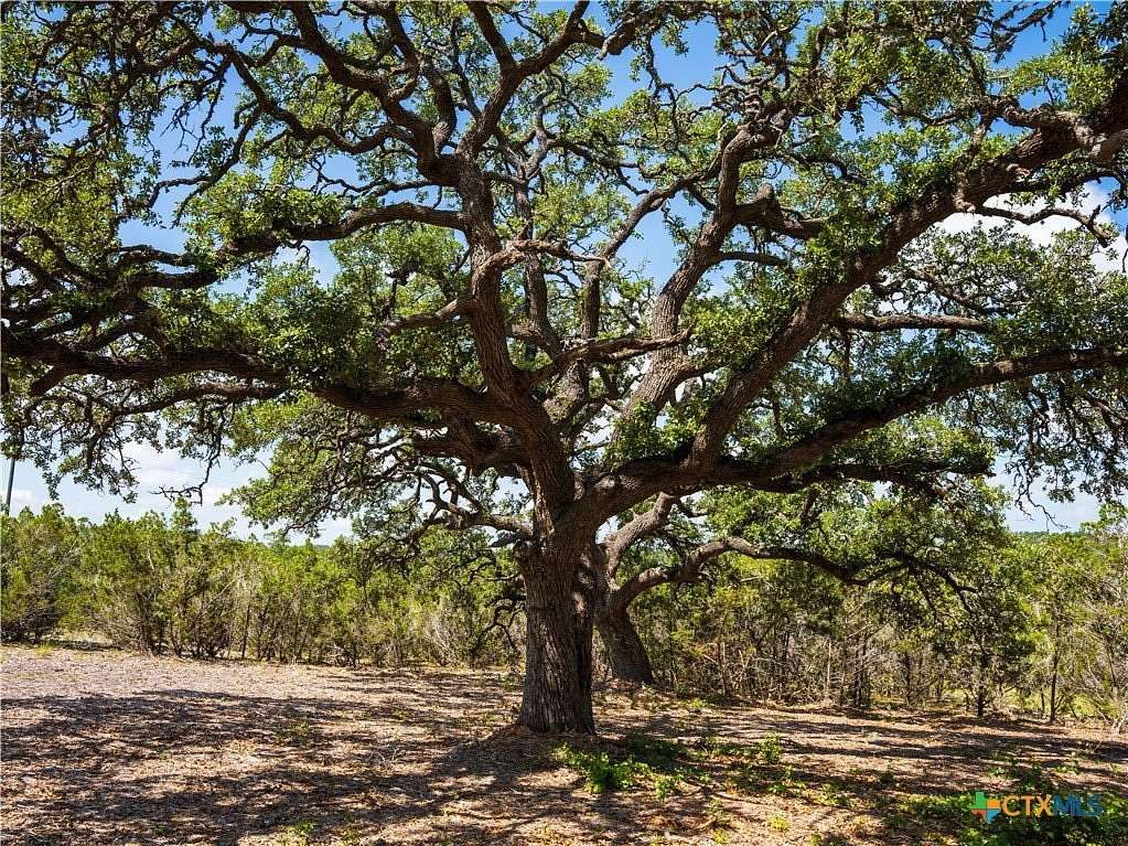 11.4 Acres of Recreational Land for Sale in Dripping Springs, Texas