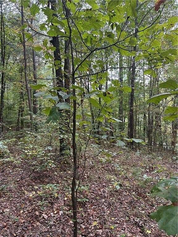 3.14 Acres of Residential Land for Sale in Waleska, Georgia