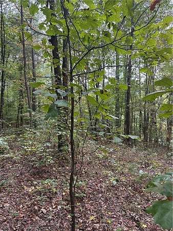 3.14 Acres of Residential Land for Sale in Waleska, Georgia