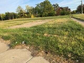 0.54 Acres of Mixed-Use Land for Sale in Detroit, Michigan