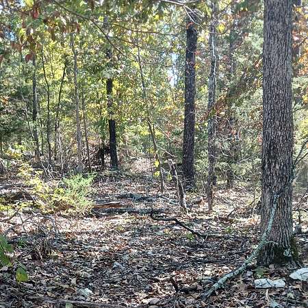 0.03 Acres of Residential Land for Sale in Theodosia, Missouri