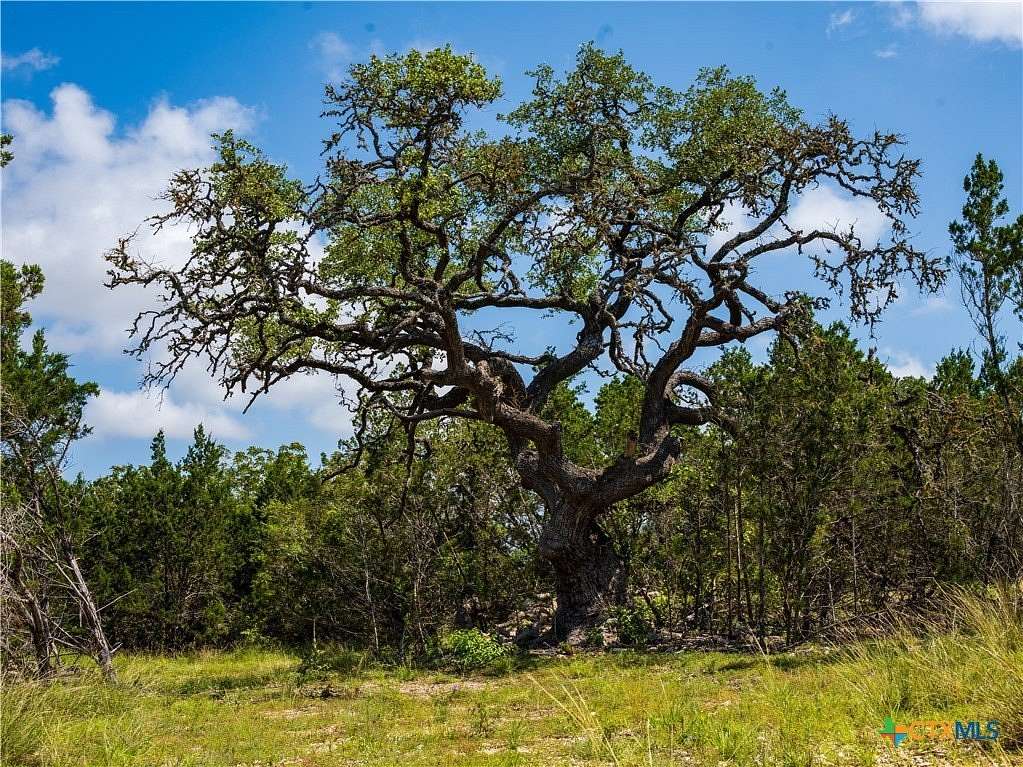 12.4 Acres of Recreational Land for Sale in Dripping Springs, Texas