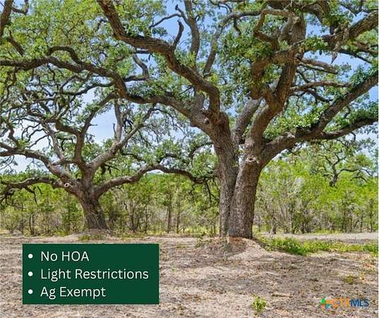 12.4 Acres of Recreational Land for Sale in Dripping Springs, Texas