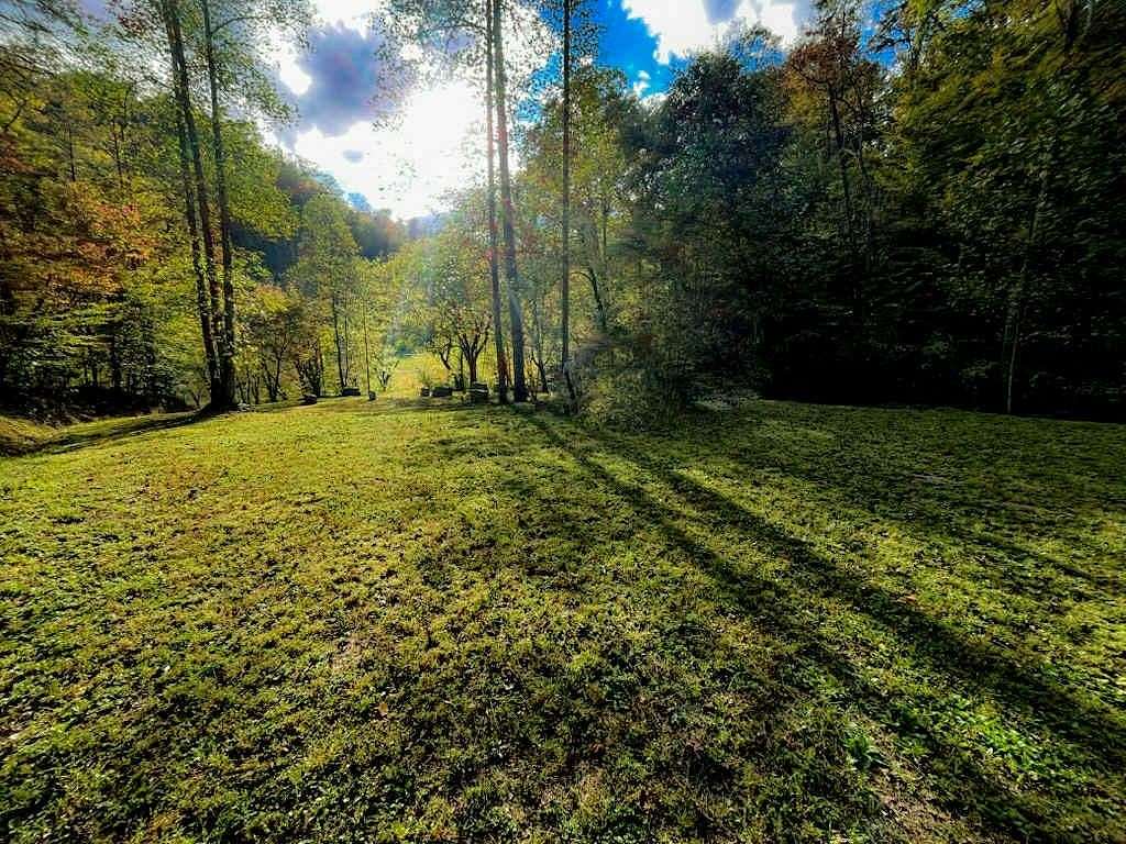 60 Acres of Land for Sale in Hagerhill, Kentucky