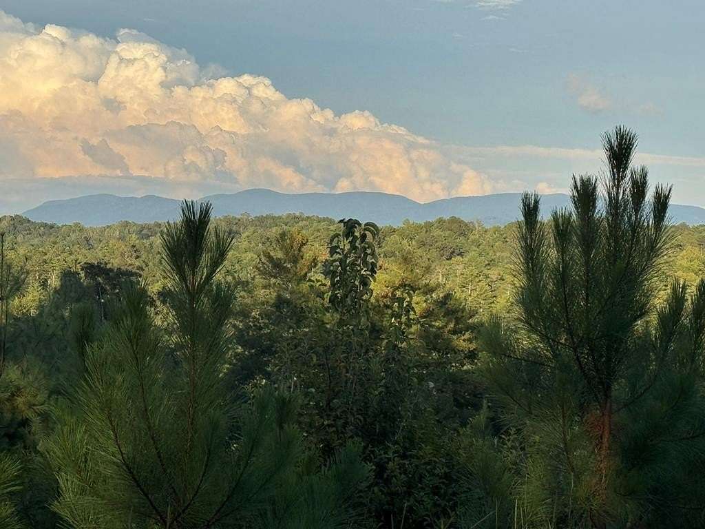 3.22 Acres of Land for Sale in Ellijay, Georgia