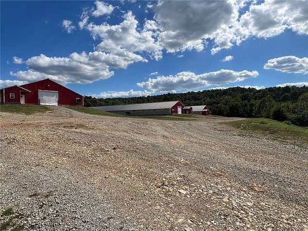 150 Acres of Agricultural Land for Sale in Yellville, Arkansas