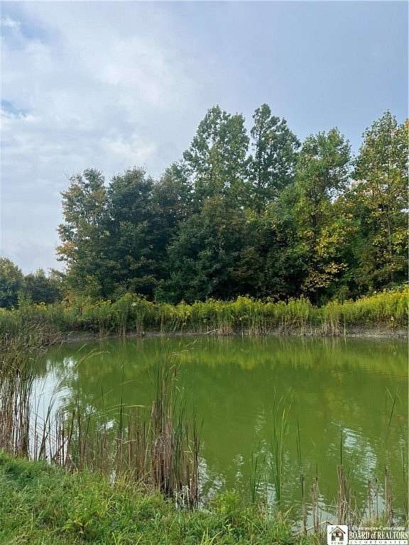 15.5 Acres of Recreational Land for Sale in Ripley, New York