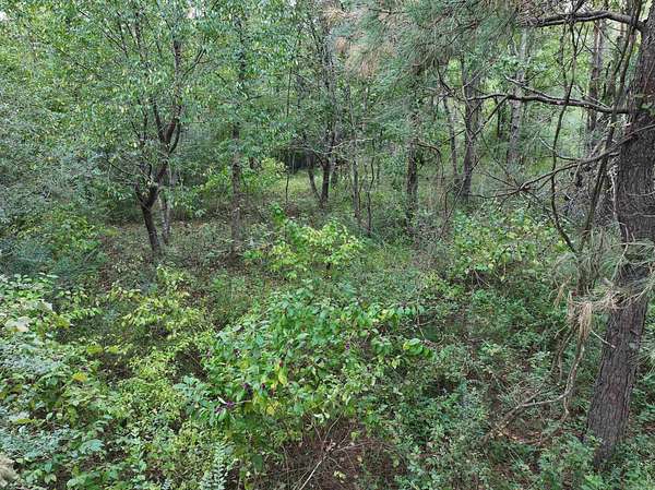 67 Acres of Recreational Land for Sale in Bismarck, Arkansas