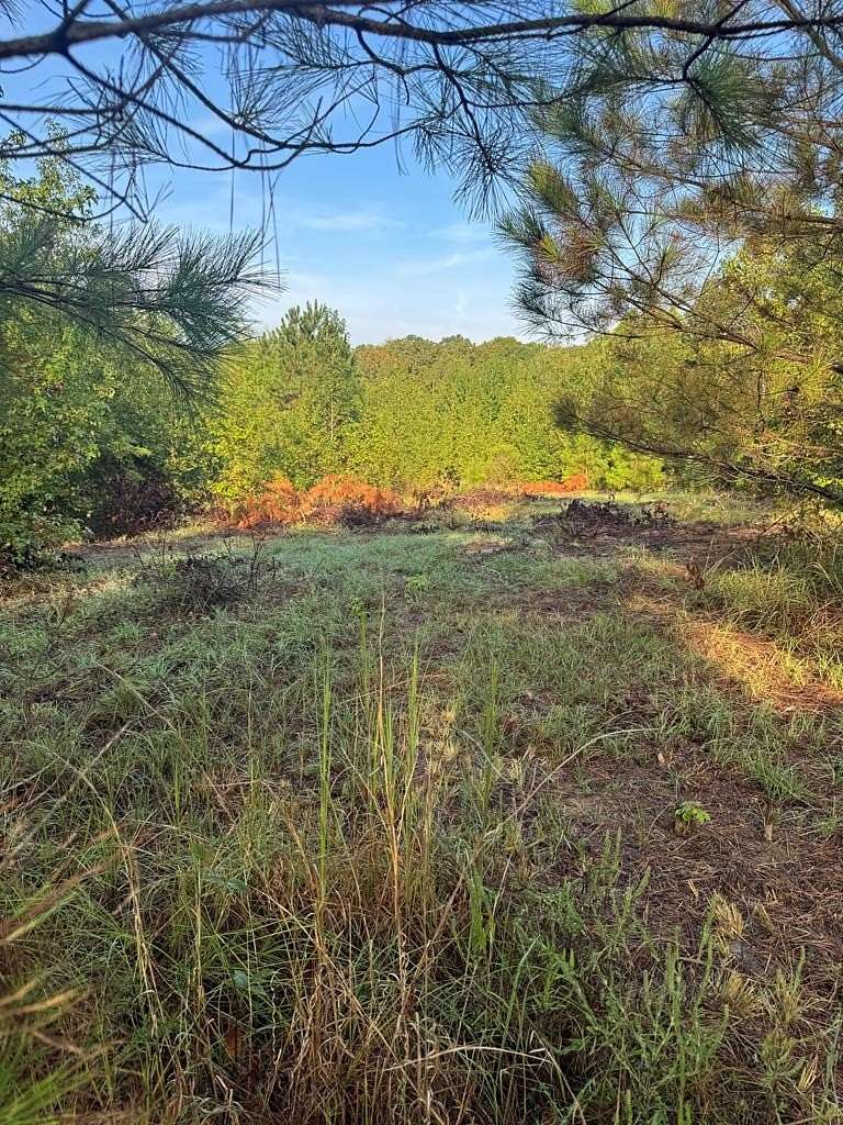 4 Acres of Land for Sale in Oxford, Mississippi