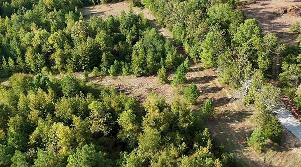 4 Acres of Land for Sale in Oxford, Mississippi