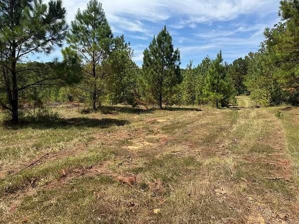 4 Acres of Land for Sale in Oxford, Mississippi