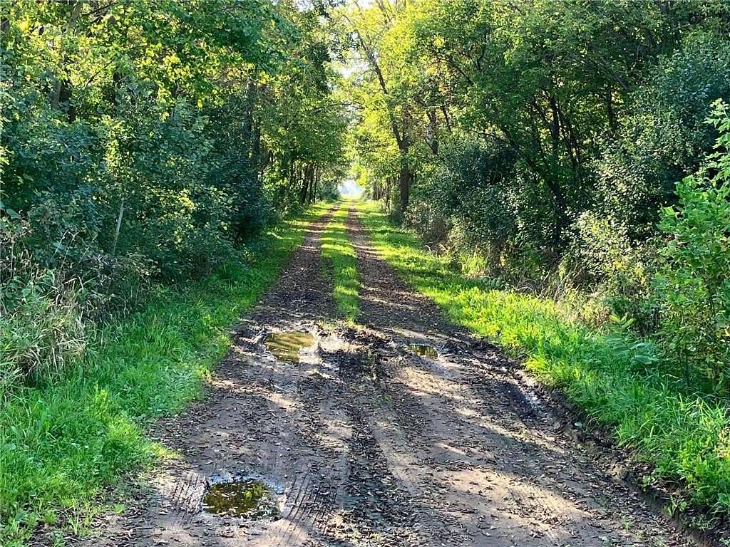 40 Acres of Land for Sale in North Branch, Minnesota