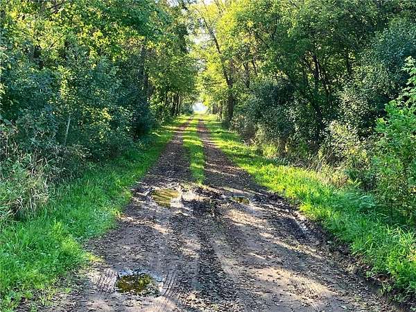 40 Acres of Land for Sale in North Branch, Minnesota