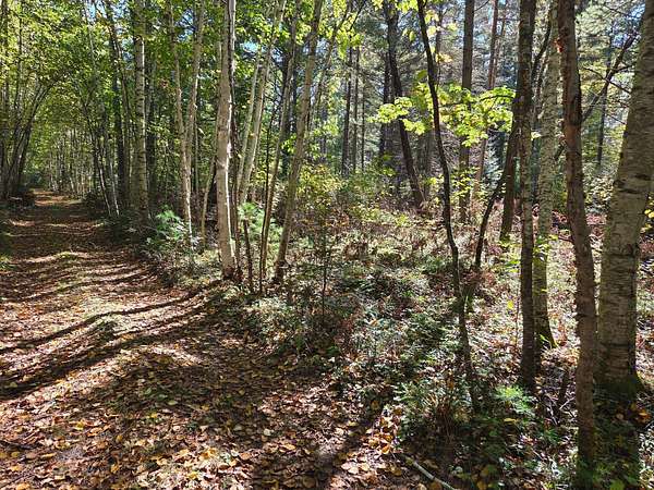 1.59 Acres of Land for Sale in Land O' Lakes, Wisconsin