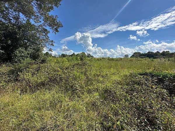 9 Acres of Land for Sale in Jack, Alabama