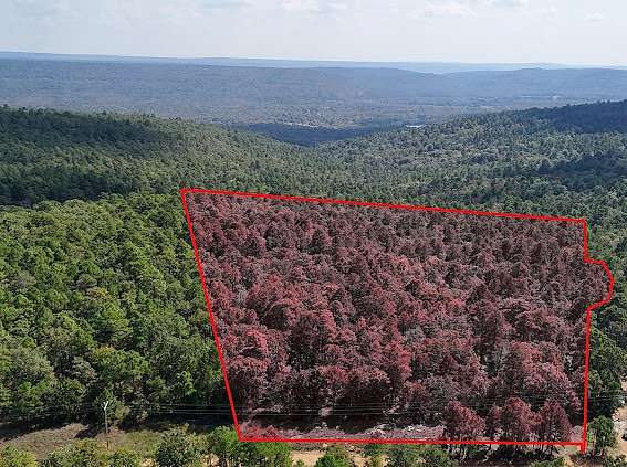 17.8 Acres of Land for Sale in Pittsburg, Oklahoma