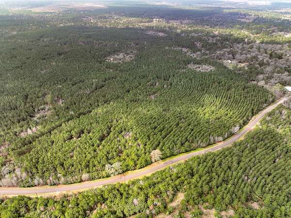 22 Acres of Recreational Land for Sale in Latexo, Texas